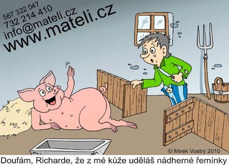 obr:cunikmateli2.jpg